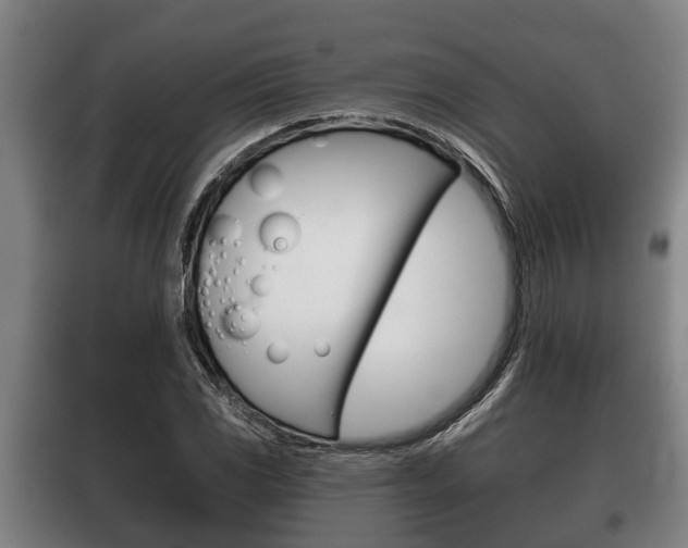 X0000100411117200806060919