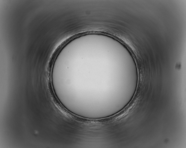 X0000100411119200806060919