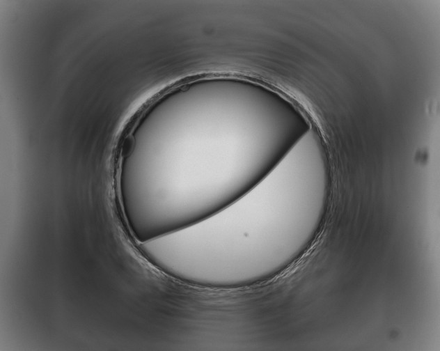 X0000100411120200806060919