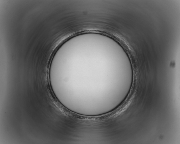 X0000100411121200806060919