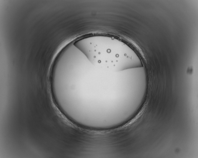 X0000100411122200806060919