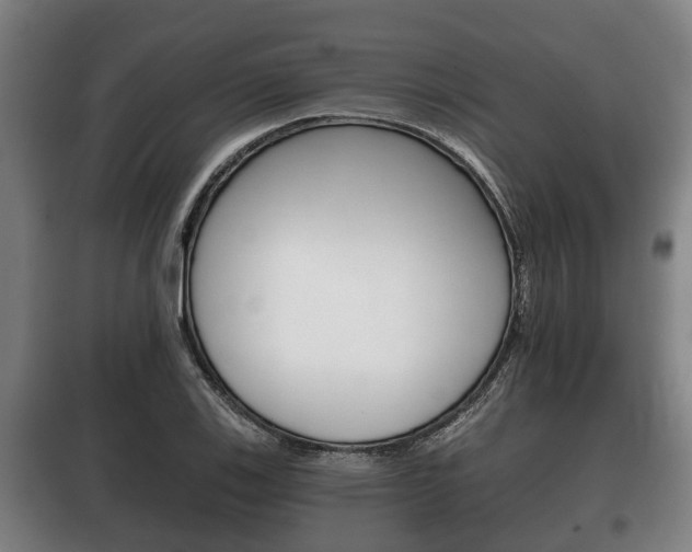 X0000100411123200806060919