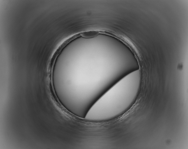 X0000100411124200806060919