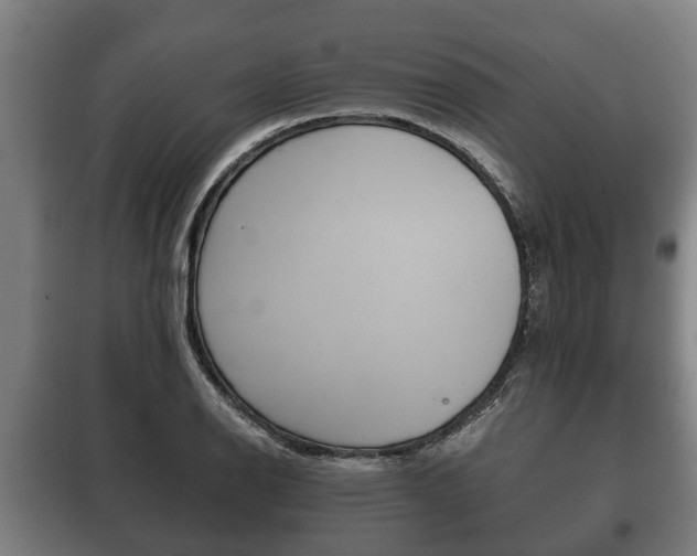 X0000100411126200806060919