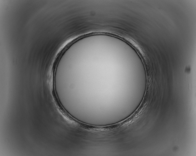 X0000100411127200806060919