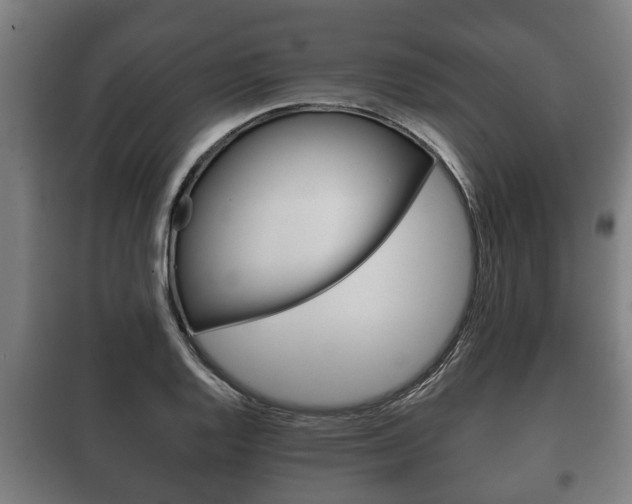 X0000100411128200806060919