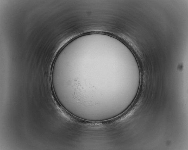 X0000100411129200806060919