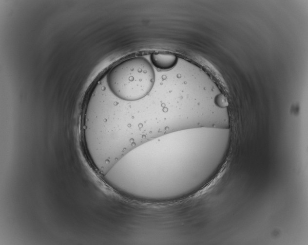 X0000100411130200806060919