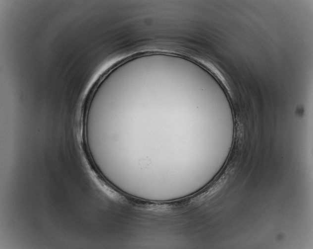X0000100411131200806060919