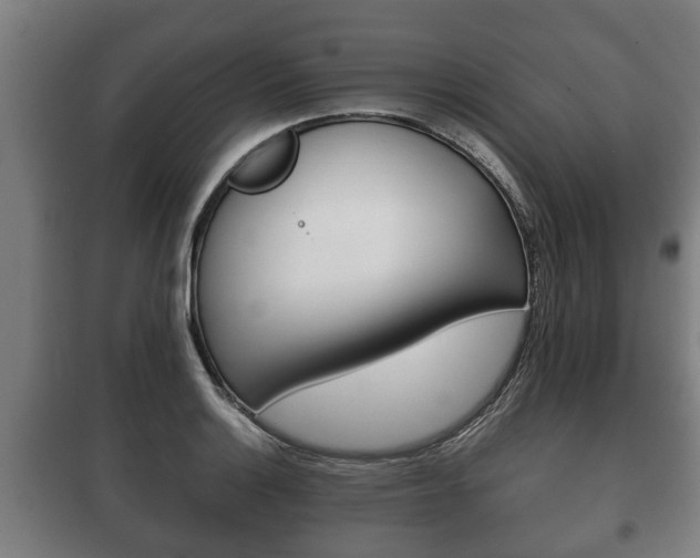 X0000100411132200806060919