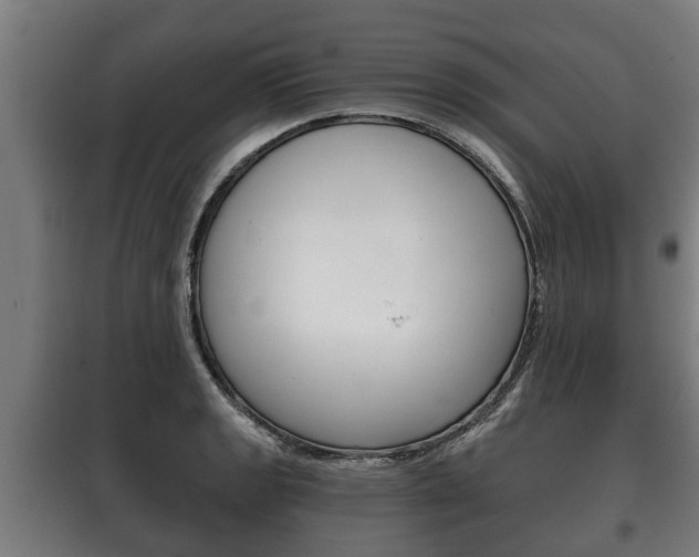 X0000100411133200806060919