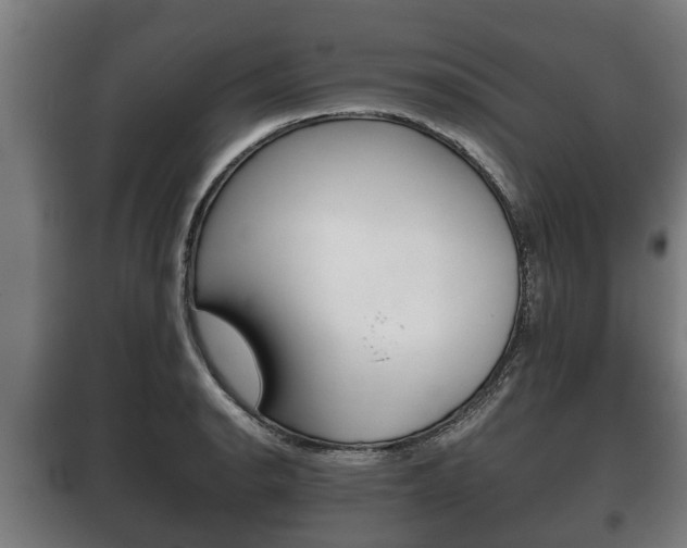 X0000100411134200806060919