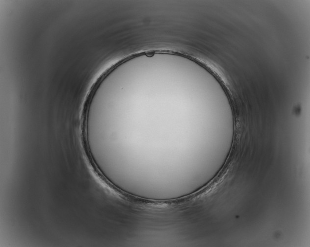 X0000100411135200806060919