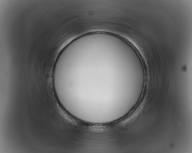 X0000100411137200806060919