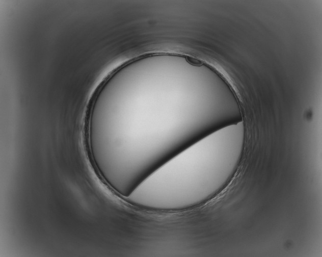 X0000100411139200806060919