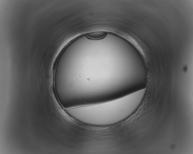 X0000100411140200806060919