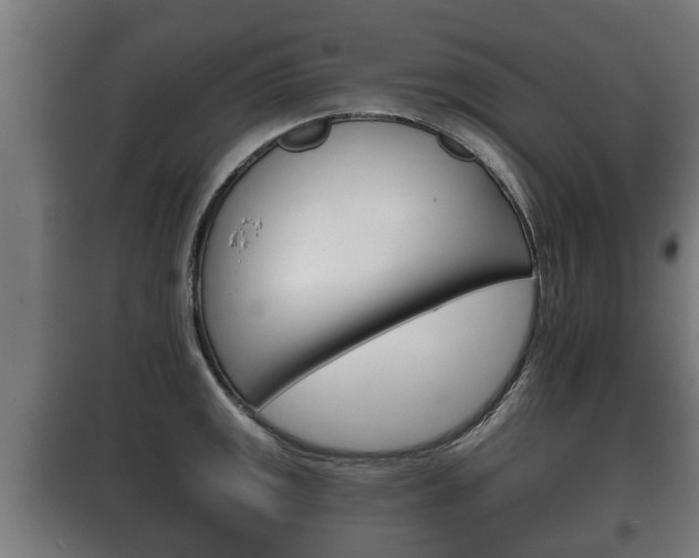 X0000100411141200806060919