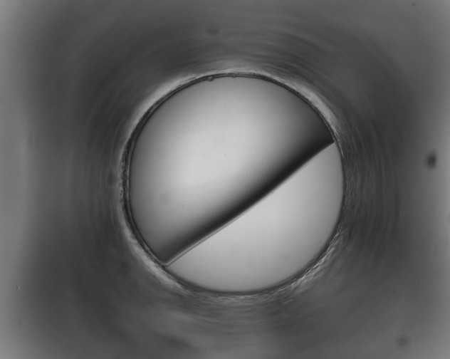 X0000100411142200806060919