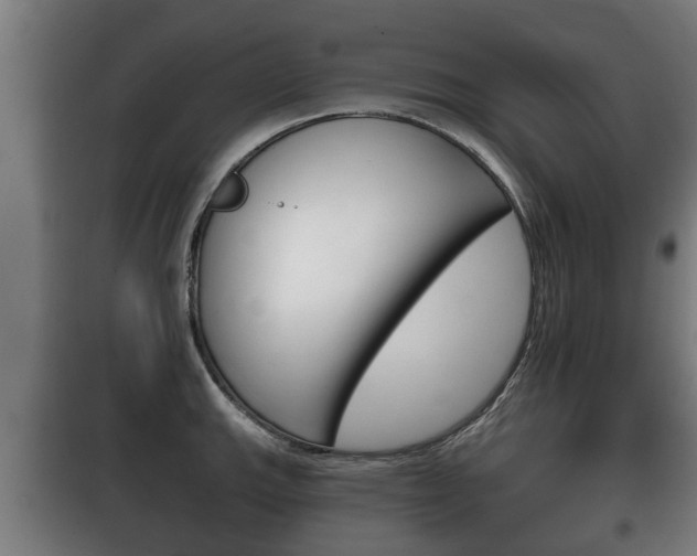 X0000100411143200806060919