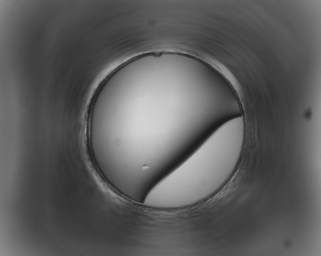 X0000100411144200806060919