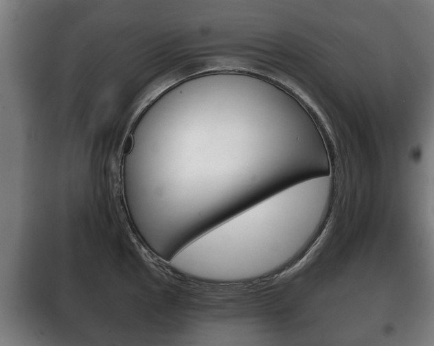 X0000100411145200806060919