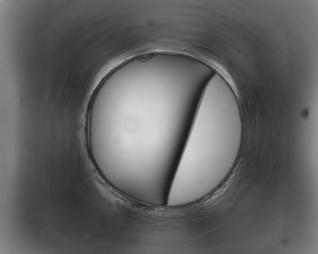 X0000100411146200806060919