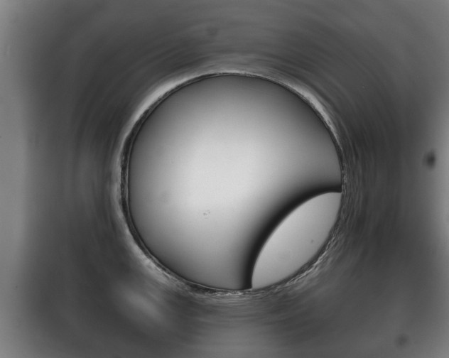 X0000100411147200806060919