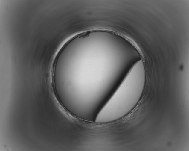 X0000100411148200806060919