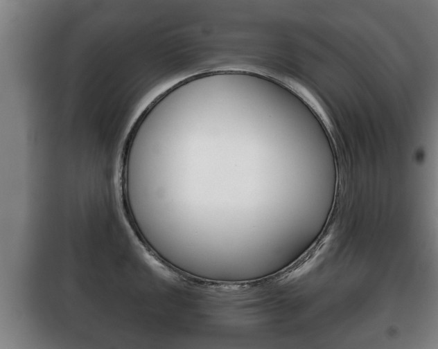 X0000100411149200806060919