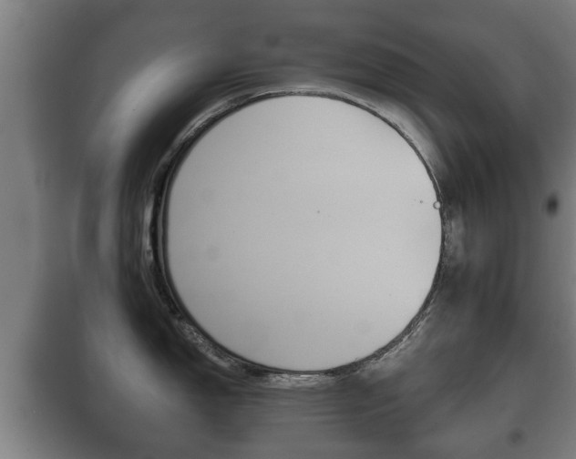 X0000100411150200806060919