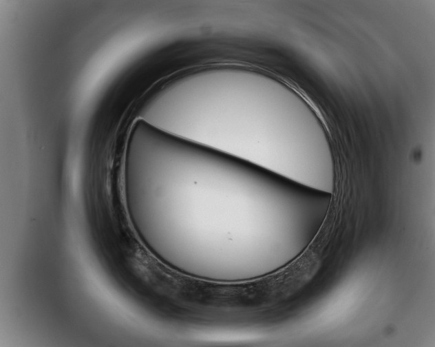 X0000100411151200806060919