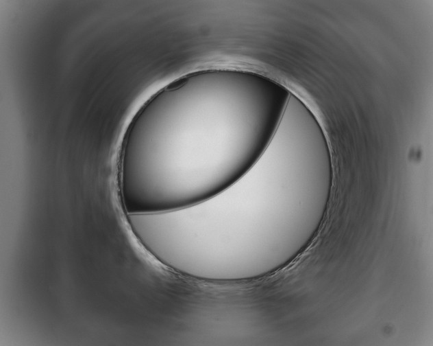 X0000100411152200806060919