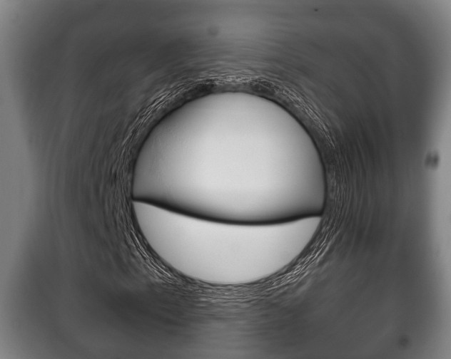 X0000100411153200806060919