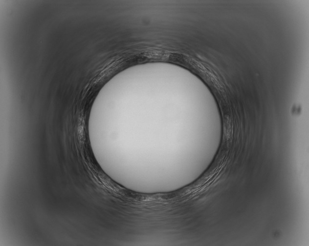 X0000100411154200806060919