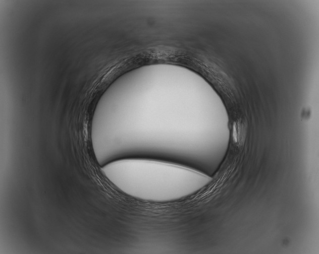 X0000100411155200806060919