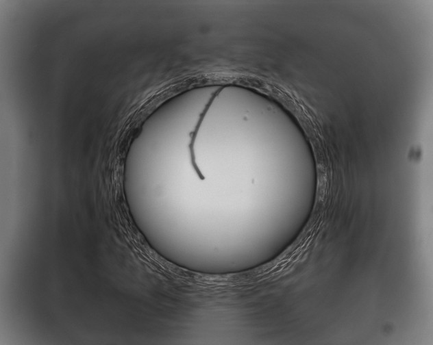 X0000100411157200806060919