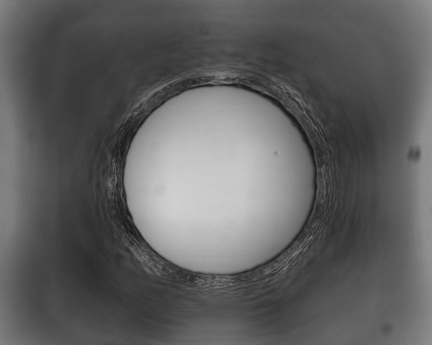 X0000100411158200806060919