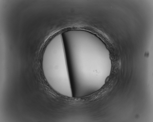 X0000100411160200806060919
