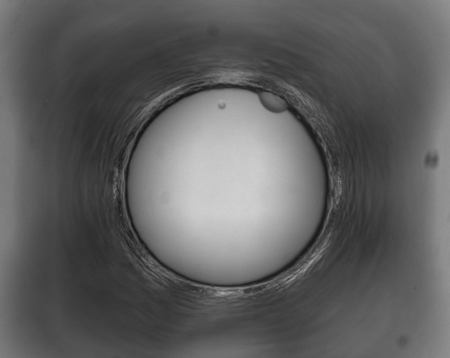 X0000100411161200806060919