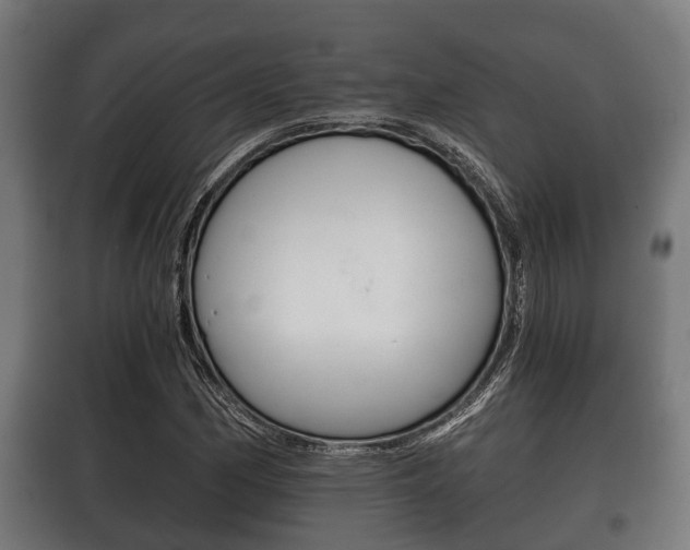 X0000100411162200806060919