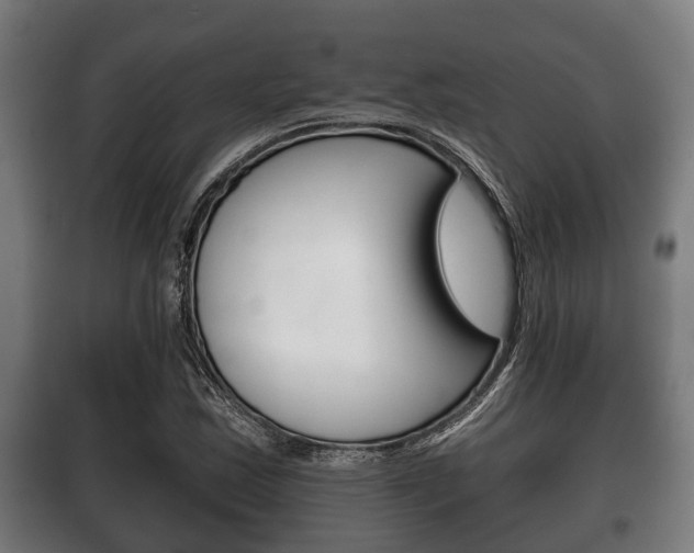 X0000100411163200806060919