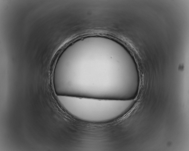 X0000100411165200806060919