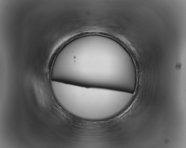 X0000100411167200806060919