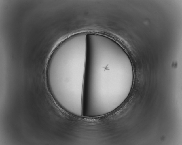X0000100411168200806060919