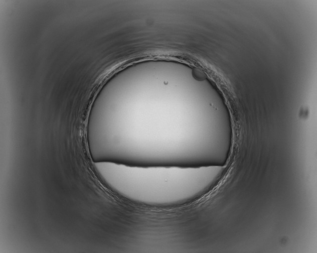 X0000100411169200806060919