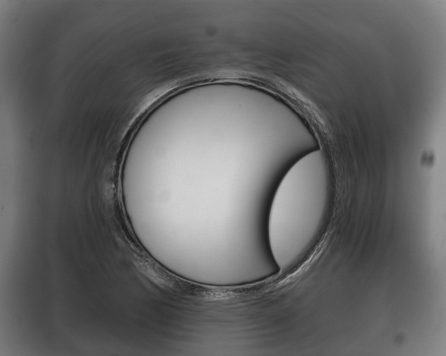 X0000100411170200806060918