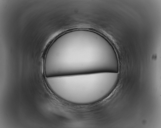 X0000100411171200806060918