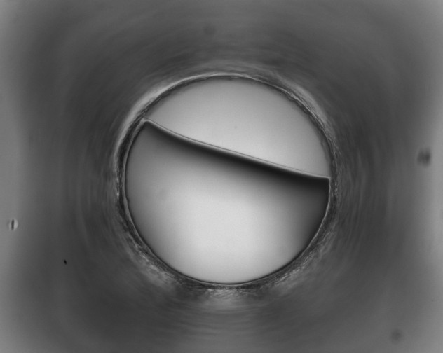 X0000100411172200806060918