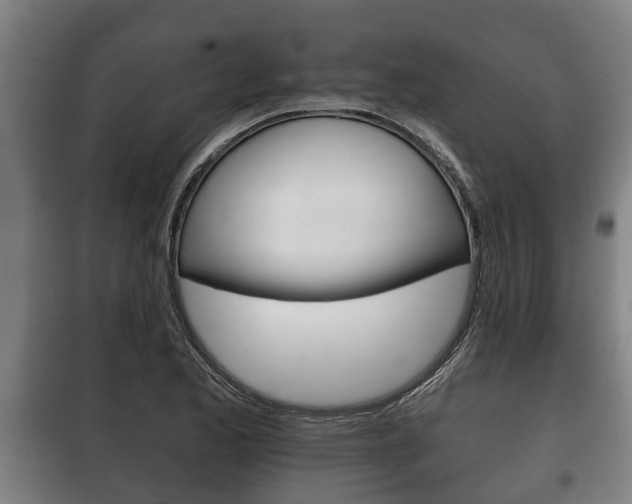 X0000100411173200806060918