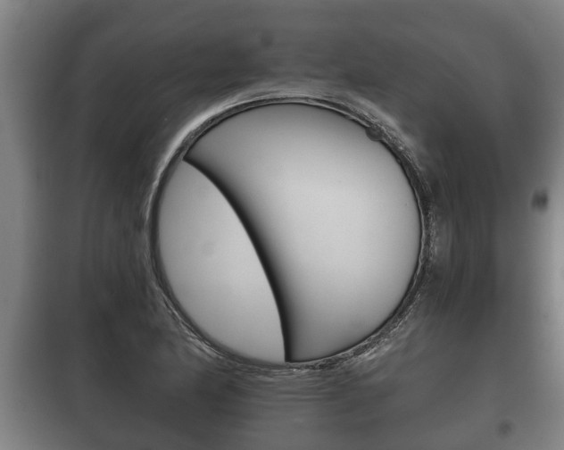 X0000100411174200806060918